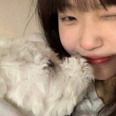 炎狮之翼官方正版下载